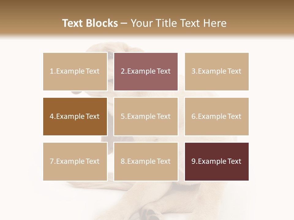 Golden Furry Labrador Retriever PowerPoint Template