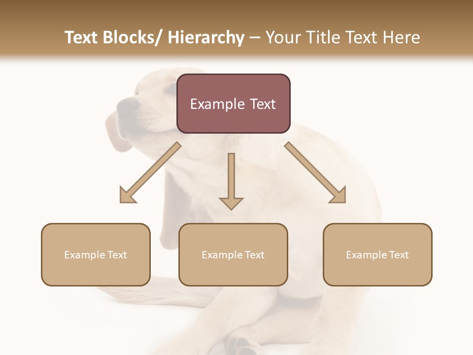 Golden Furry Labrador Retriever PowerPoint Template