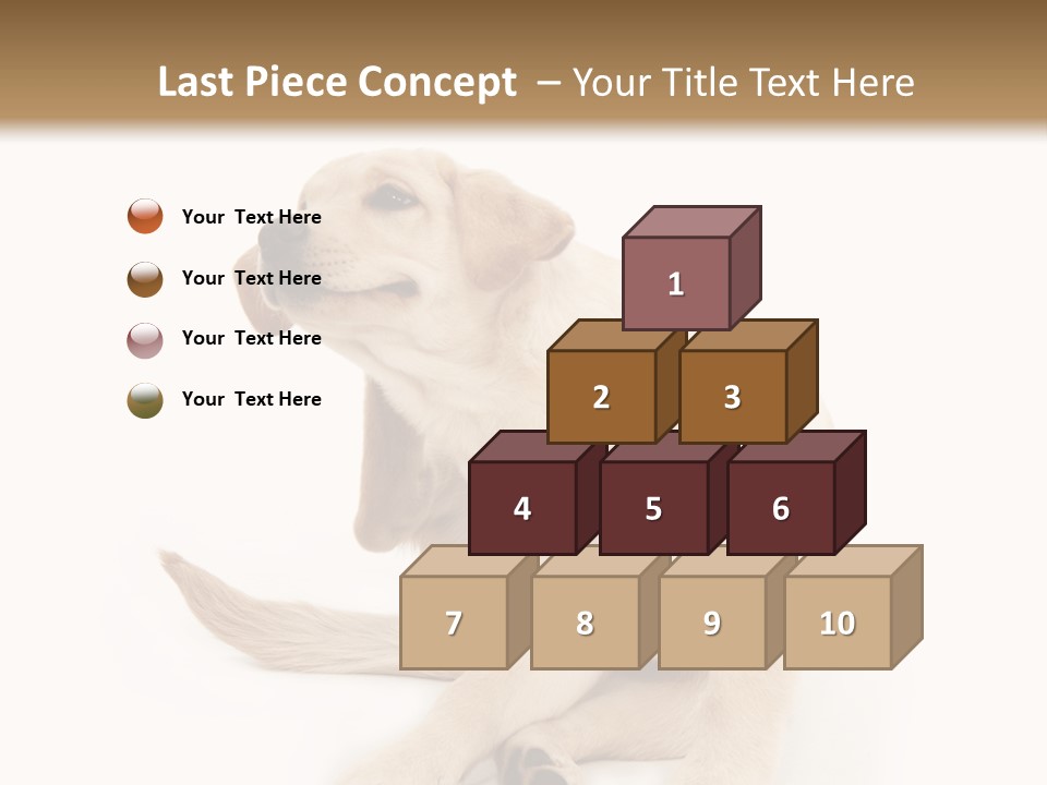 Golden Furry Labrador Retriever PowerPoint Template