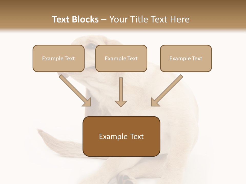 Golden Furry Labrador Retriever PowerPoint Template