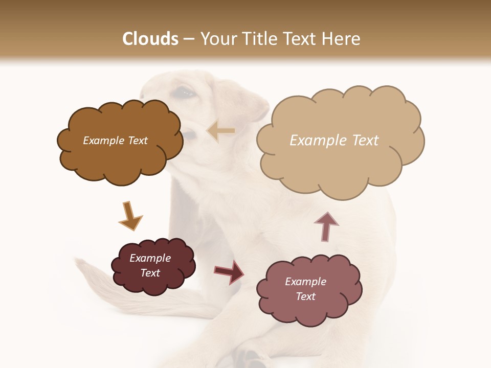 Golden Furry Labrador Retriever PowerPoint Template