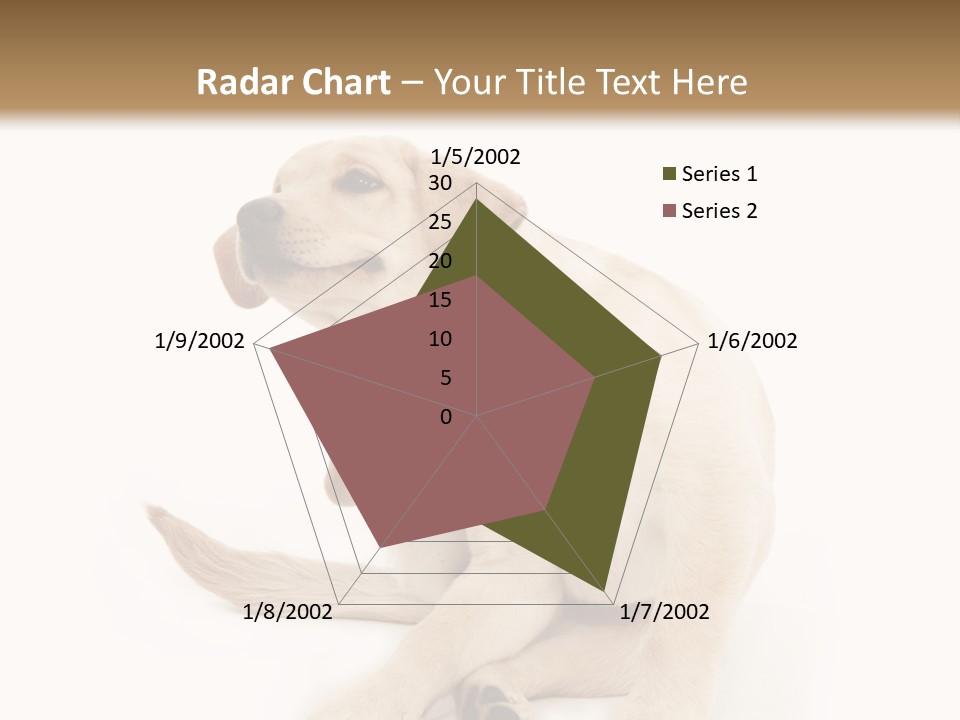 Golden Furry Labrador Retriever PowerPoint Template
