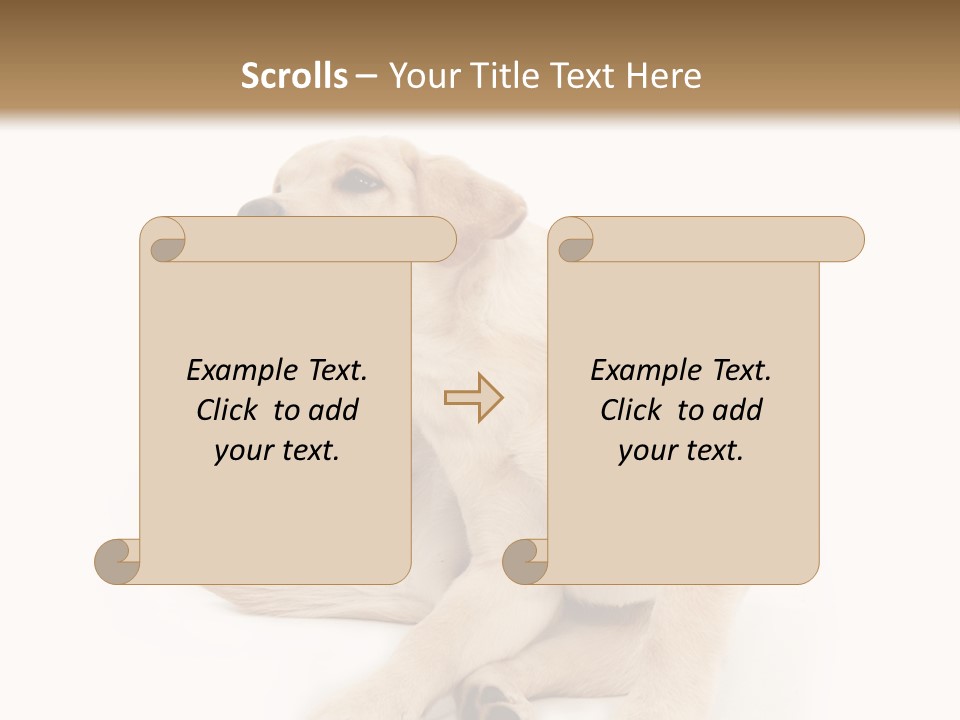 Golden Furry Labrador Retriever PowerPoint Template