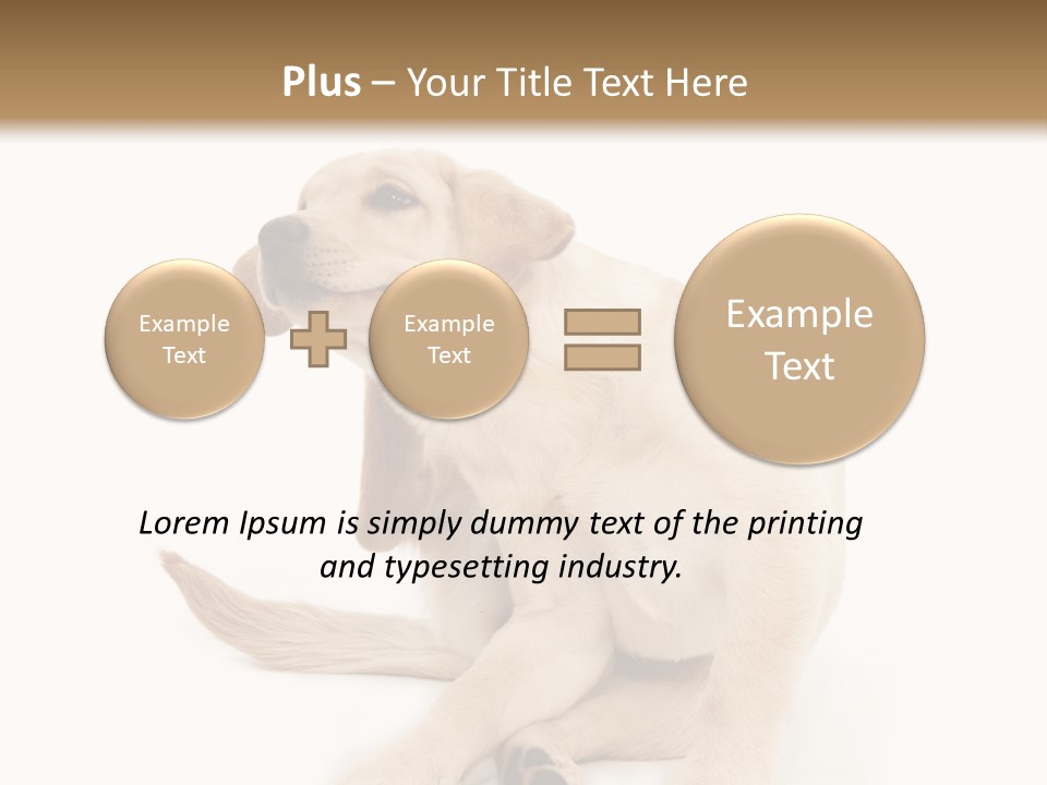 Golden Furry Labrador Retriever PowerPoint Template