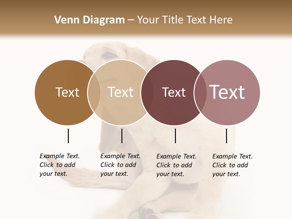 Golden Furry Labrador Retriever PowerPoint Template