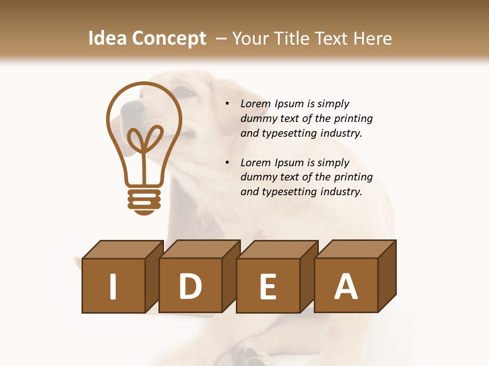 Golden Furry Labrador Retriever PowerPoint Template