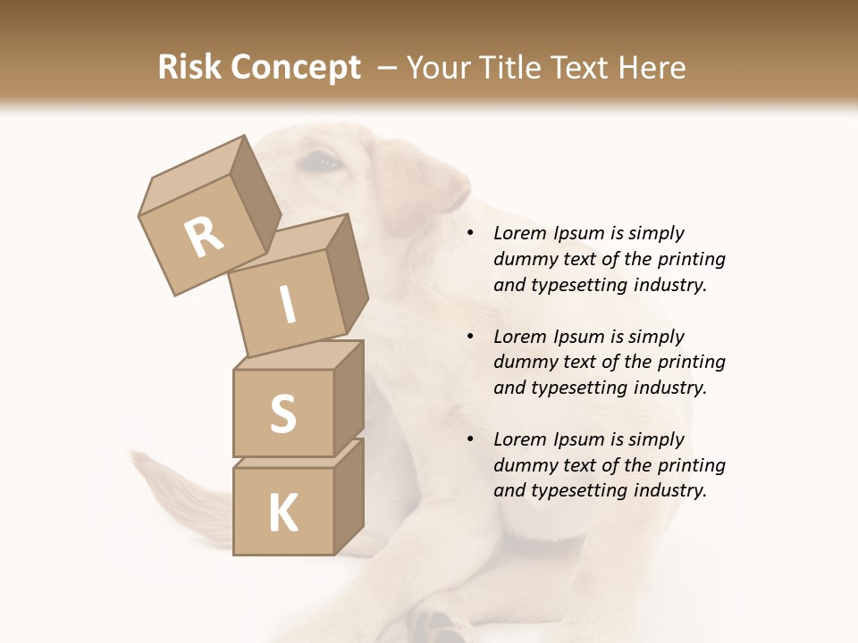 Golden Furry Labrador Retriever PowerPoint Template