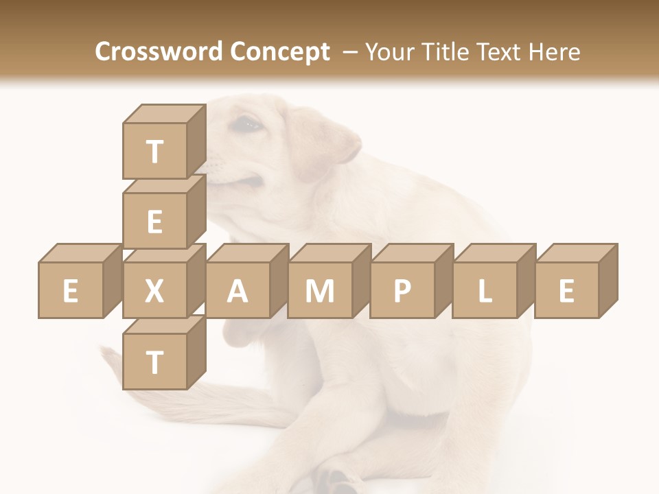 Golden Furry Labrador Retriever PowerPoint Template