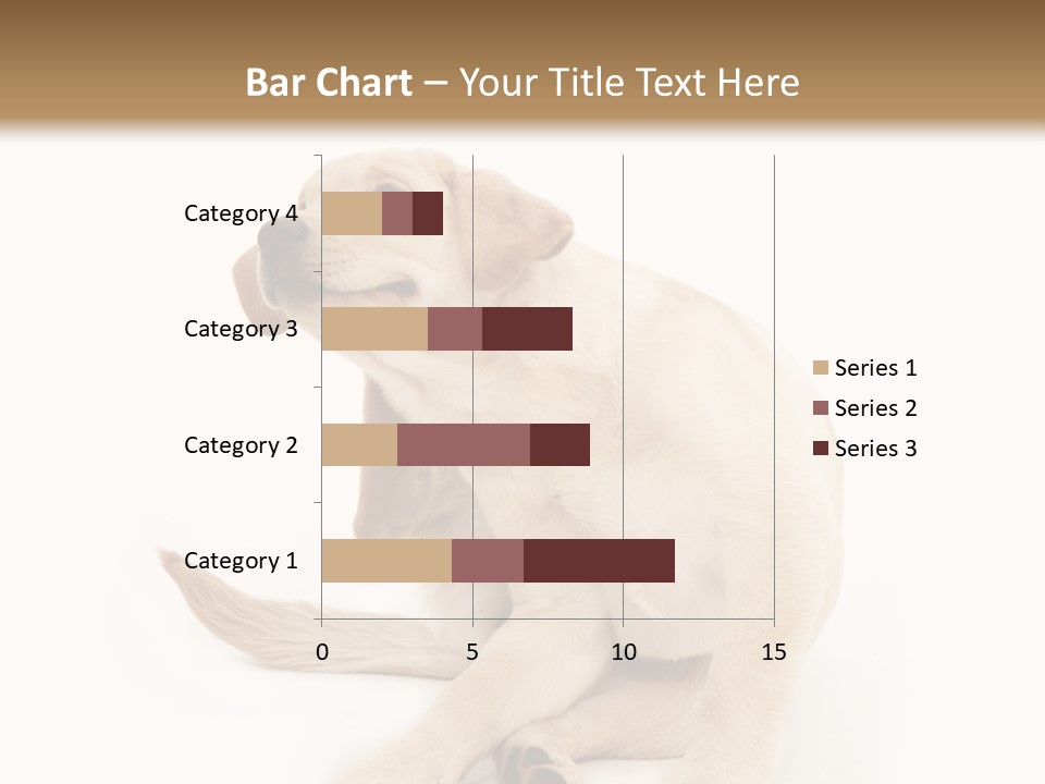 Golden Furry Labrador Retriever PowerPoint Template