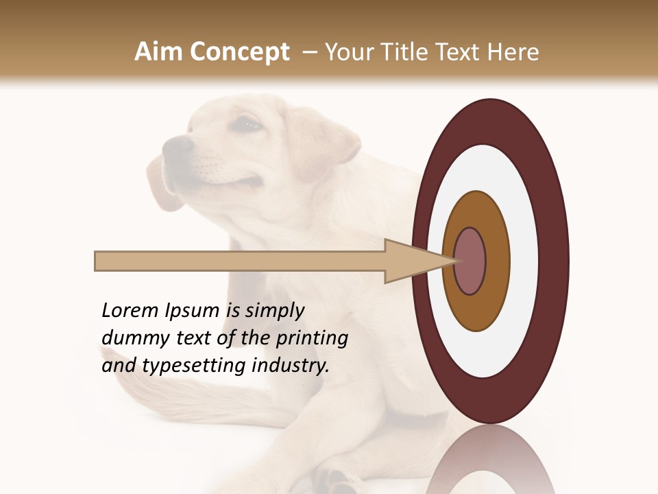 Golden Furry Labrador Retriever PowerPoint Template