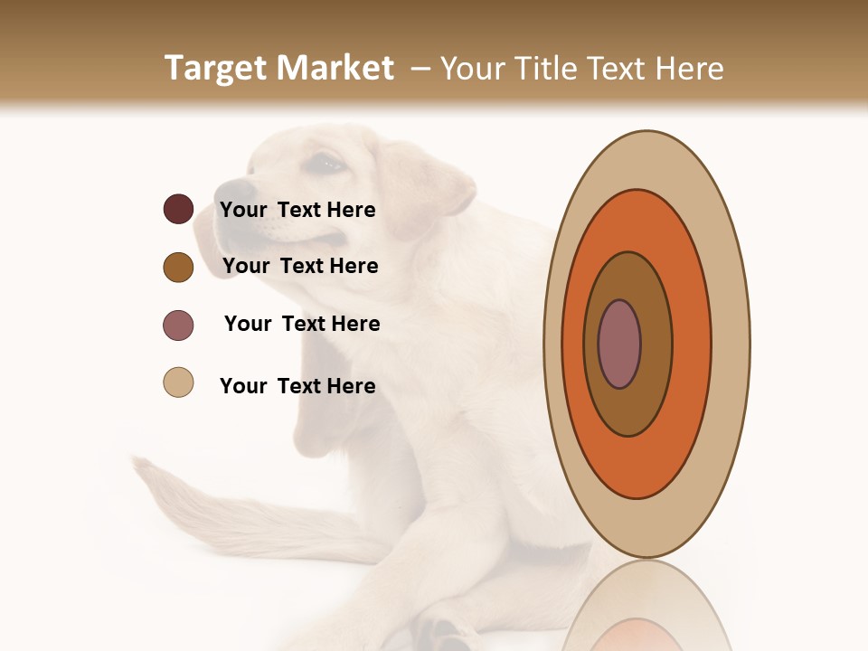 Golden Furry Labrador Retriever PowerPoint Template
