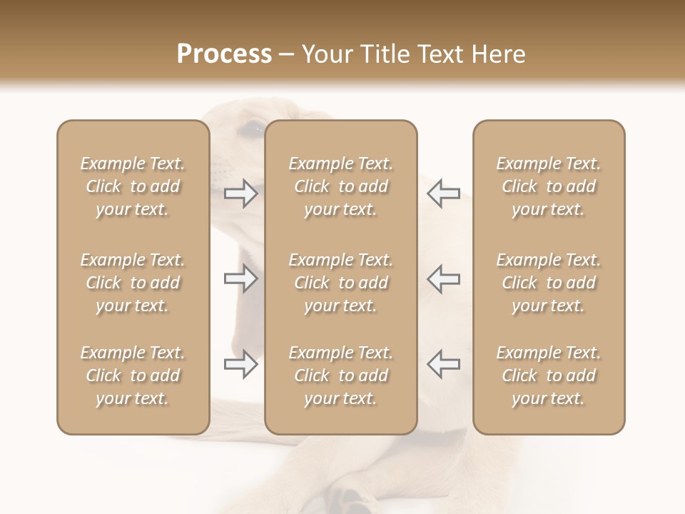 Golden Furry Labrador Retriever PowerPoint Template