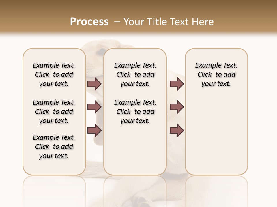 Golden Furry Labrador Retriever PowerPoint Template