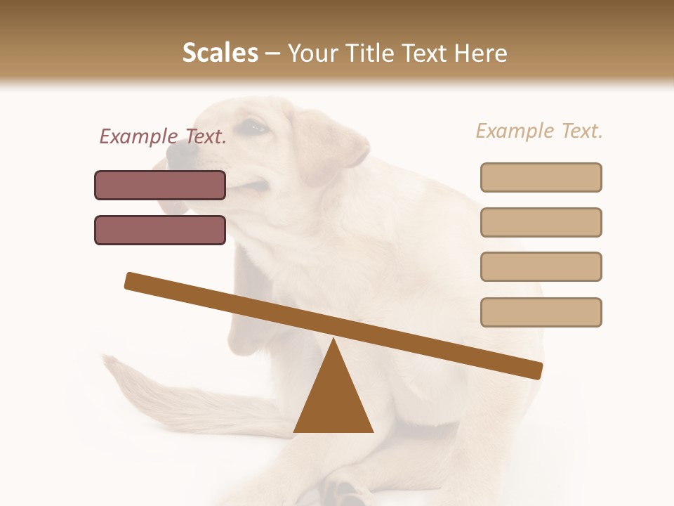 Golden Furry Labrador Retriever PowerPoint Template