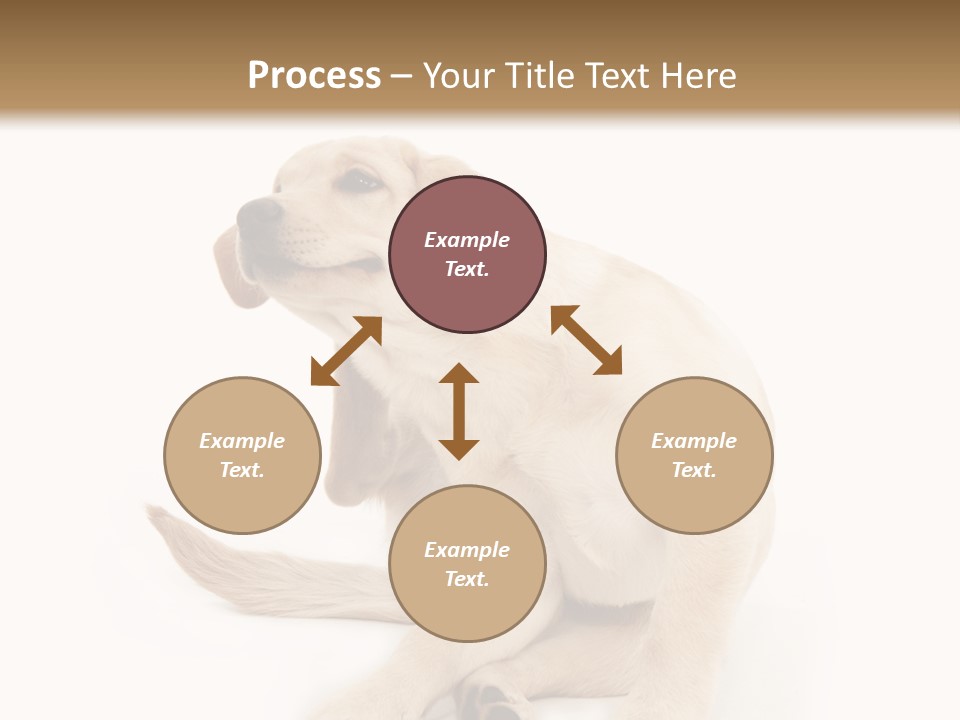 Golden Furry Labrador Retriever PowerPoint Template