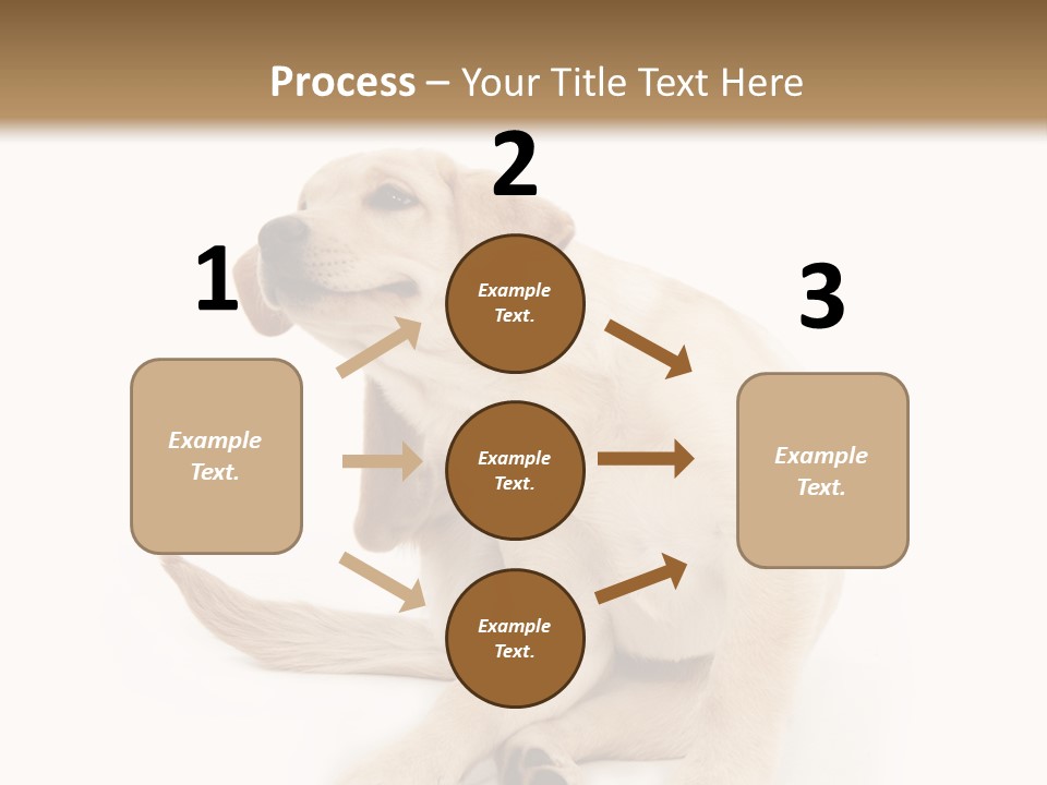 Golden Furry Labrador Retriever PowerPoint Template