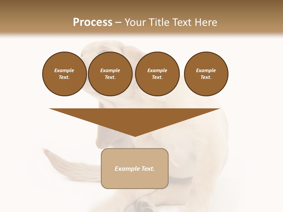 Golden Furry Labrador Retriever PowerPoint Template