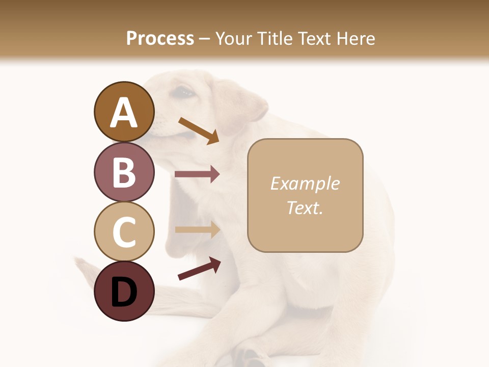 Golden Furry Labrador Retriever PowerPoint Template