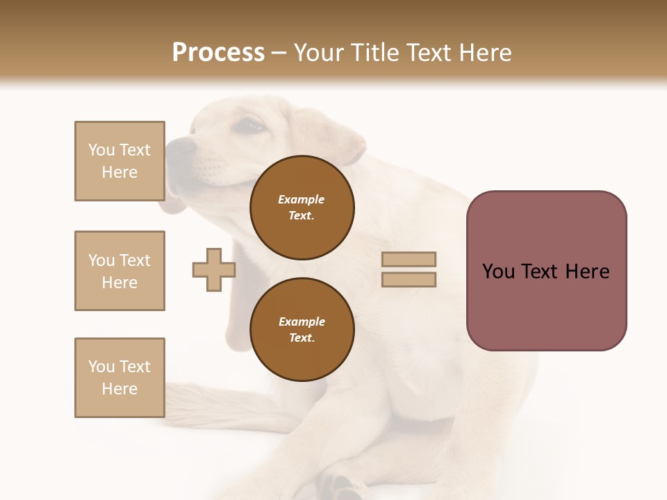 Golden Furry Labrador Retriever PowerPoint Template