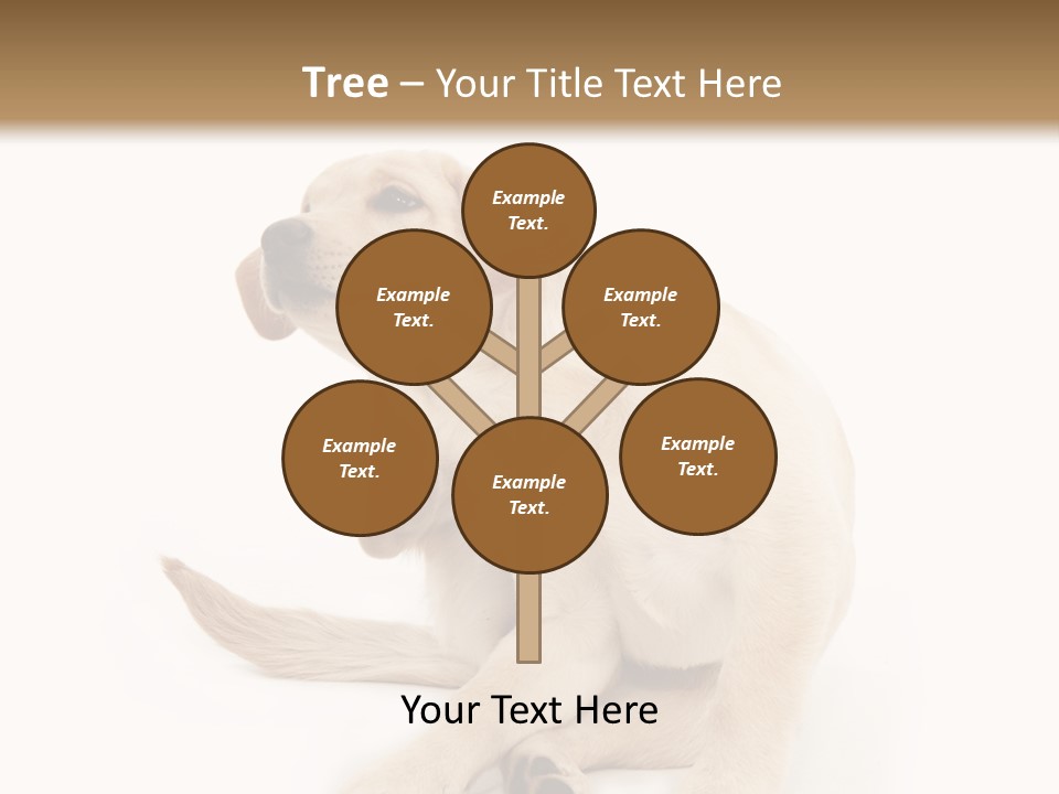 Golden Furry Labrador Retriever PowerPoint Template