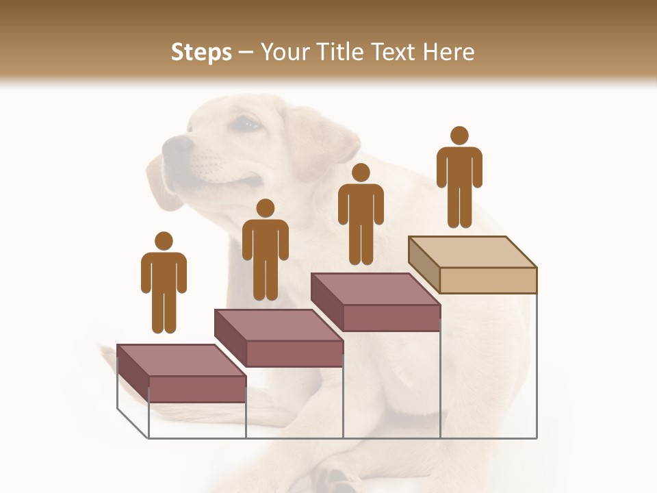 Golden Furry Labrador Retriever PowerPoint Template