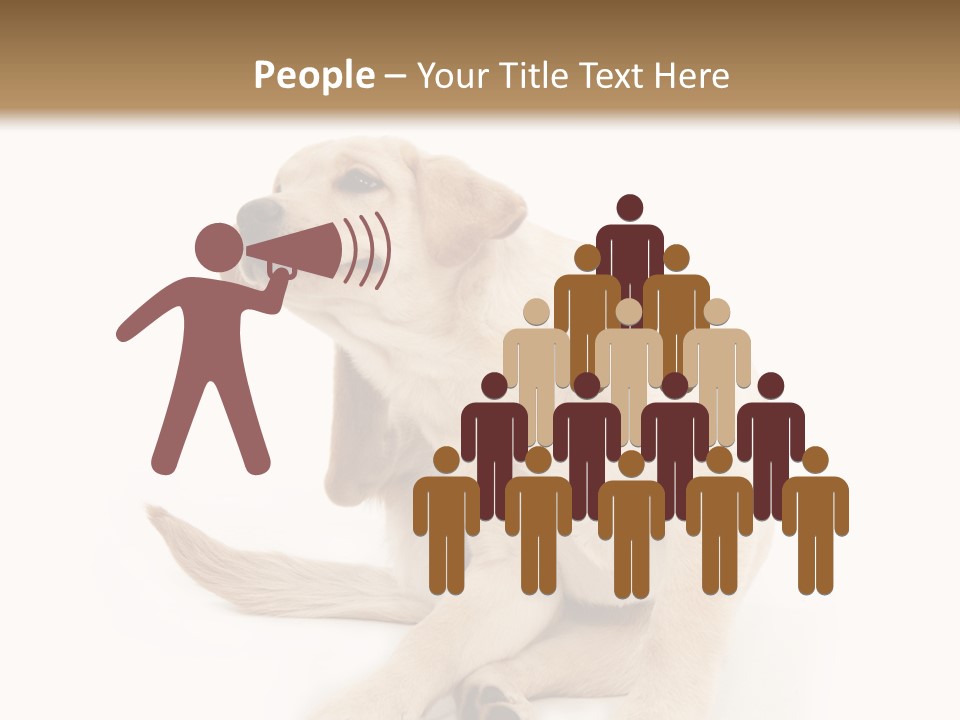 Golden Furry Labrador Retriever PowerPoint Template