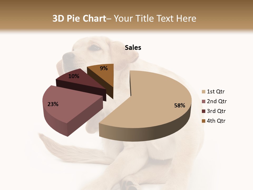 Golden Furry Labrador Retriever PowerPoint Template