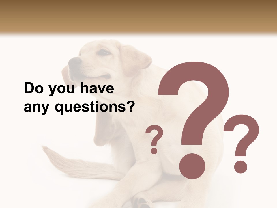 Golden Furry Labrador Retriever PowerPoint Template