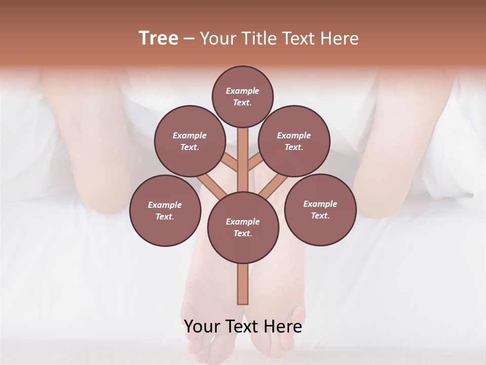 Film Movie Take PowerPoint Template