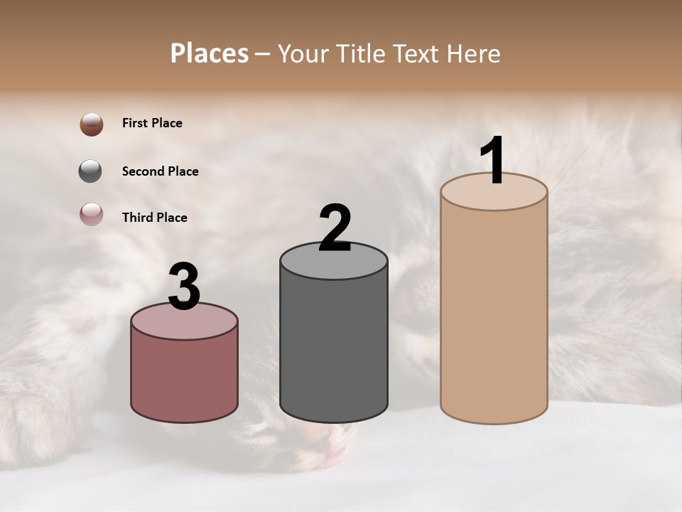Furry White Mother PowerPoint Template