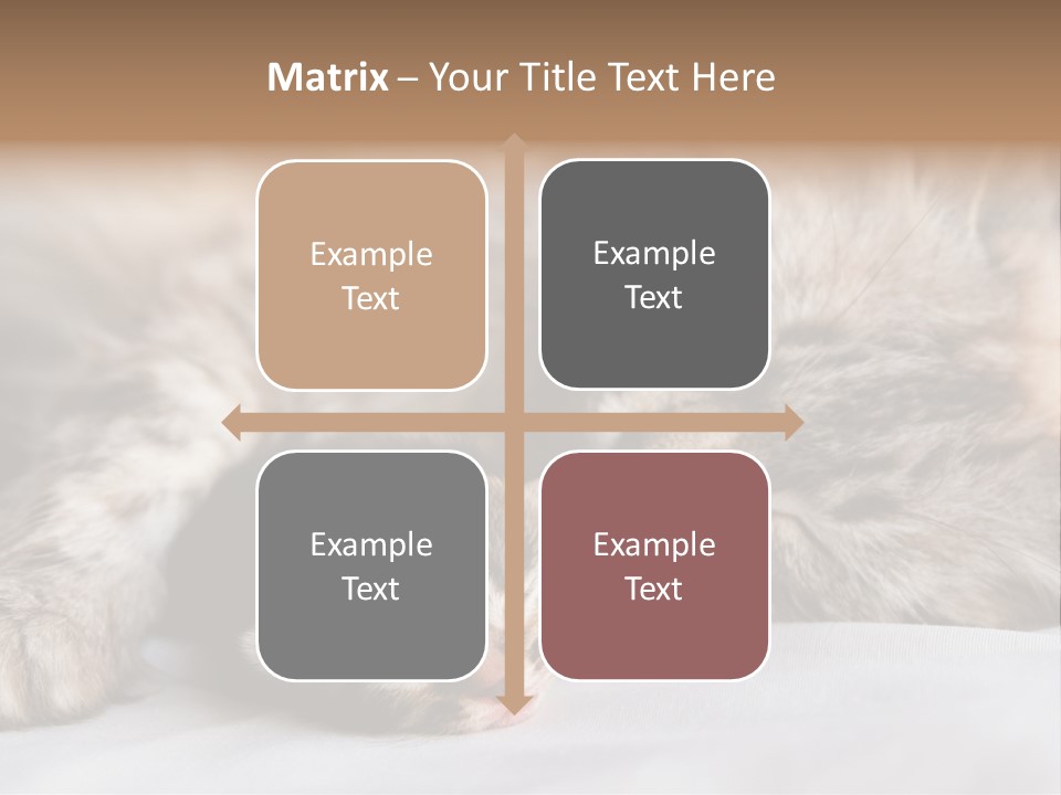 Furry White Mother PowerPoint Template
