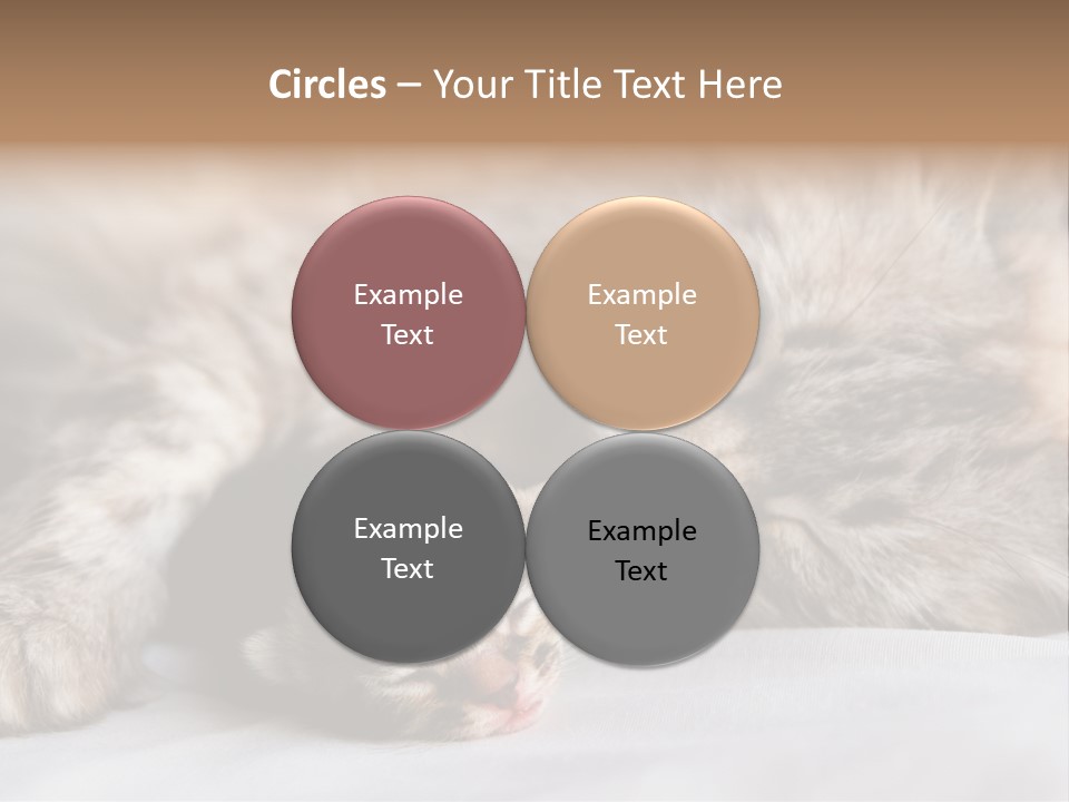 Furry White Mother PowerPoint Template
