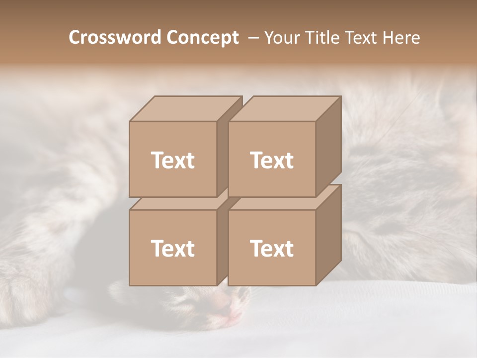 Furry White Mother PowerPoint Template