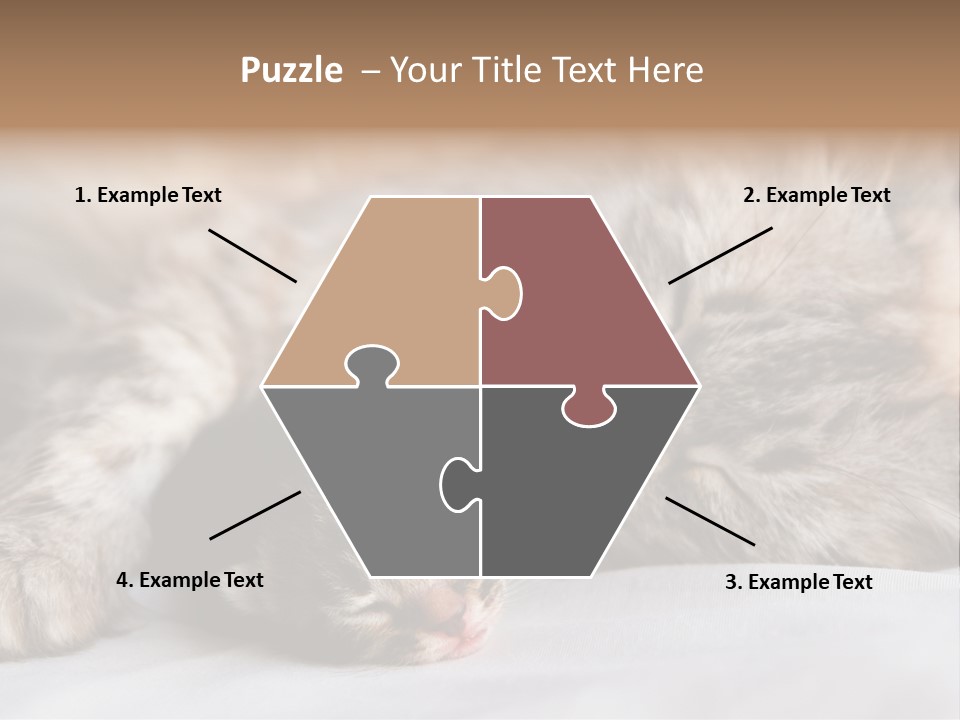 Furry White Mother PowerPoint Template