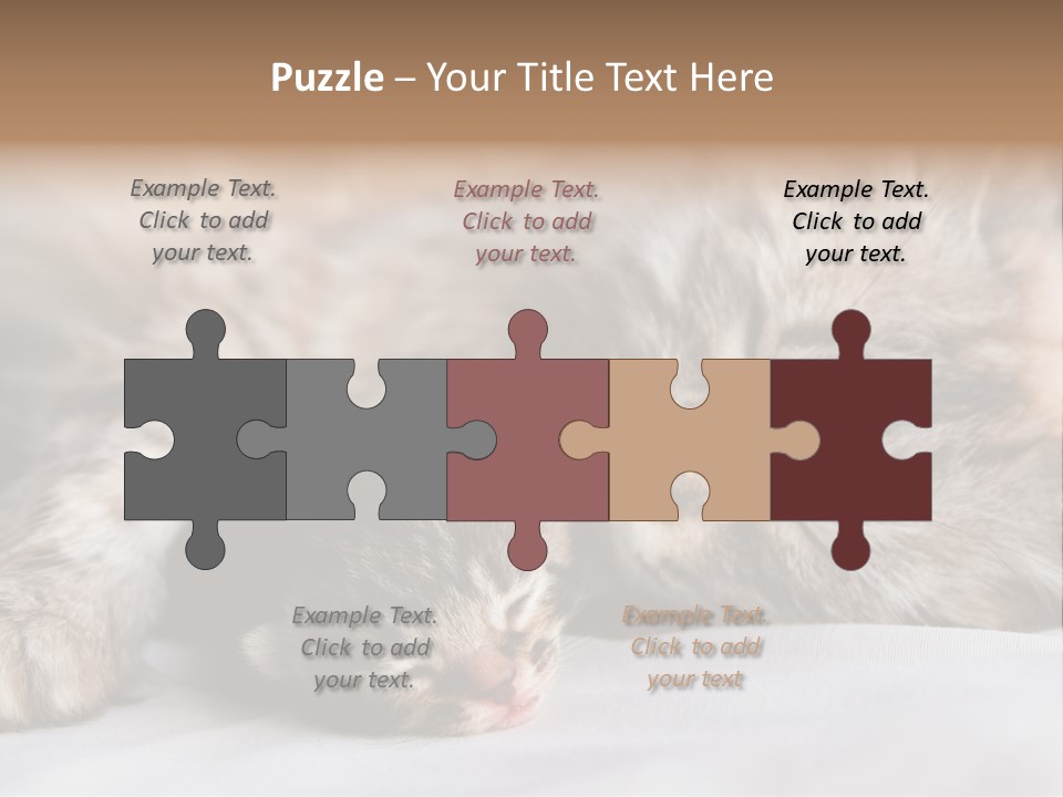 Furry White Mother PowerPoint Template