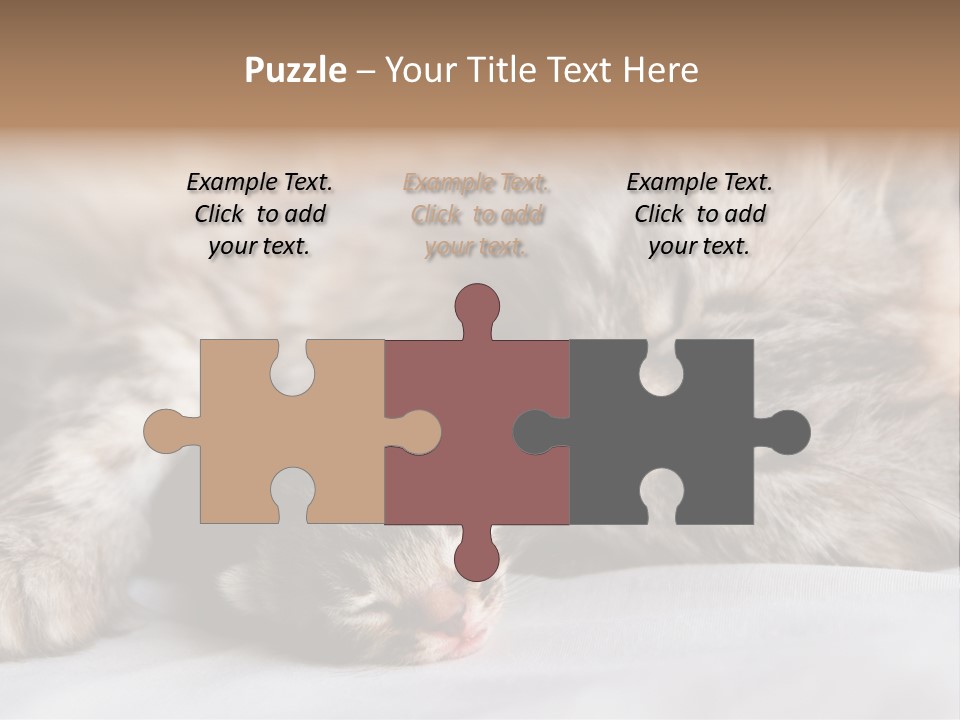 Furry White Mother PowerPoint Template