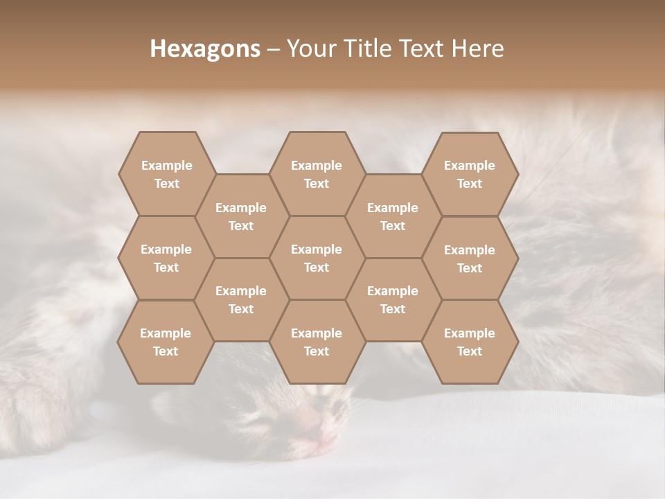 Furry White Mother PowerPoint Template