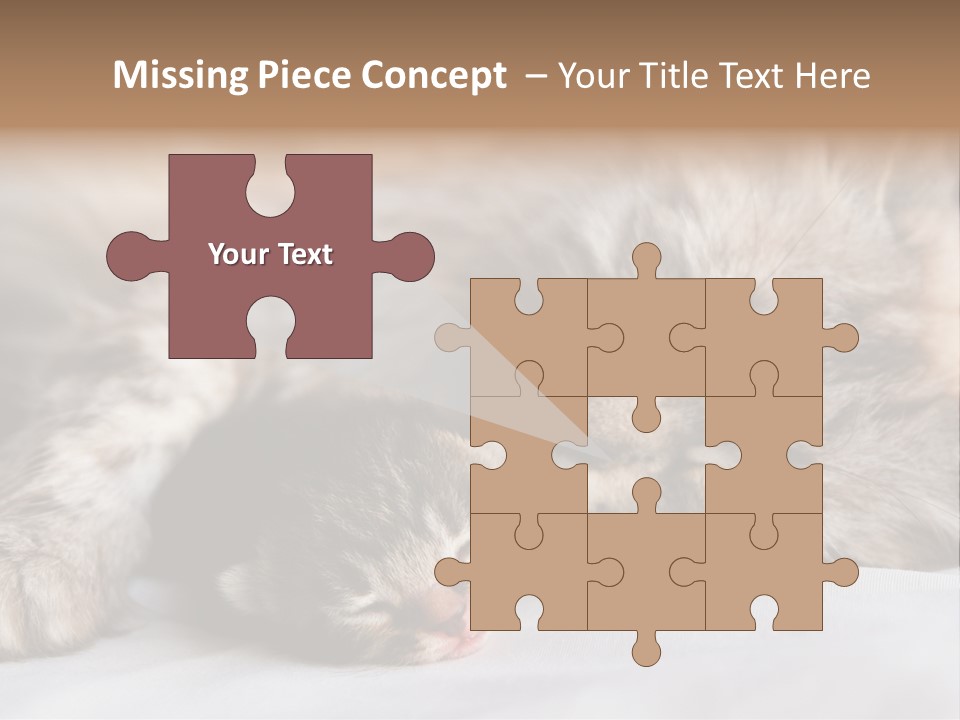 Furry White Mother PowerPoint Template