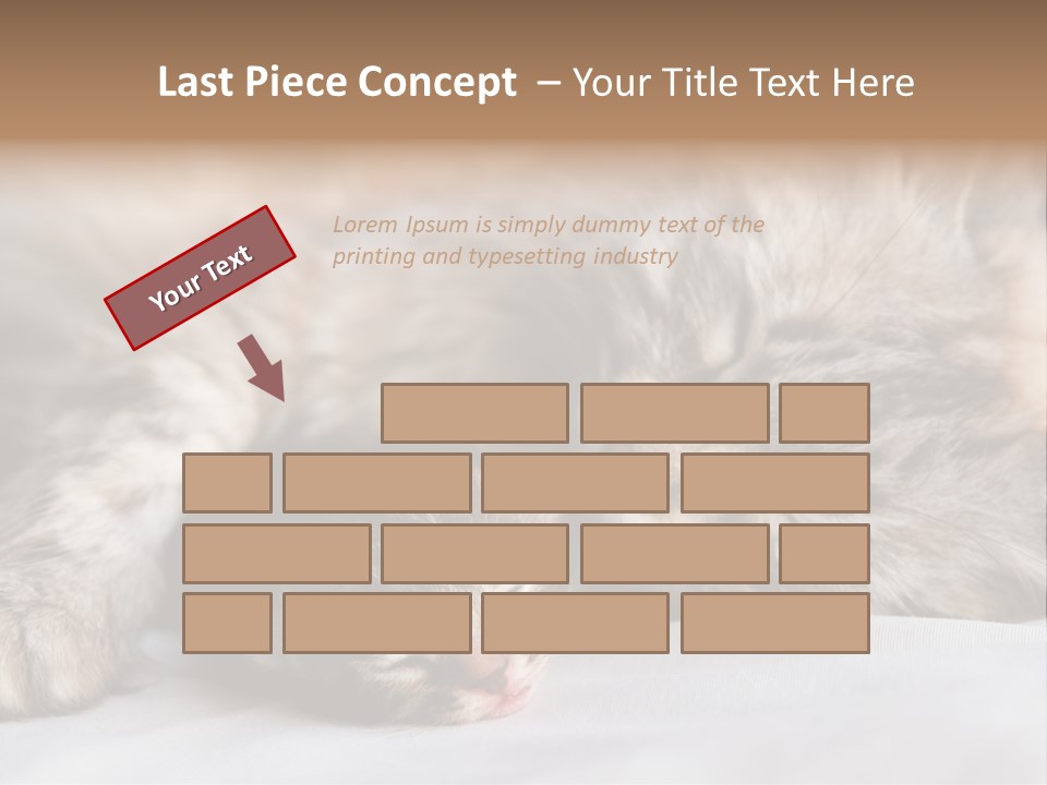 Furry White Mother PowerPoint Template