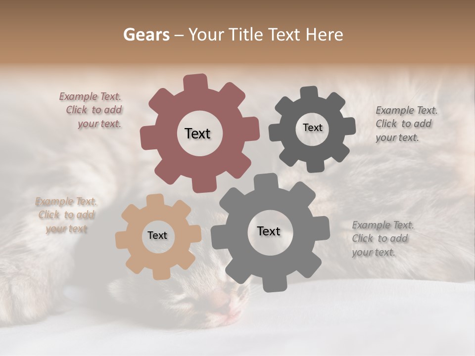 Furry White Mother PowerPoint Template