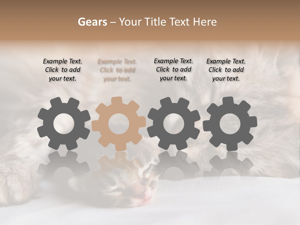 Furry White Mother PowerPoint Template