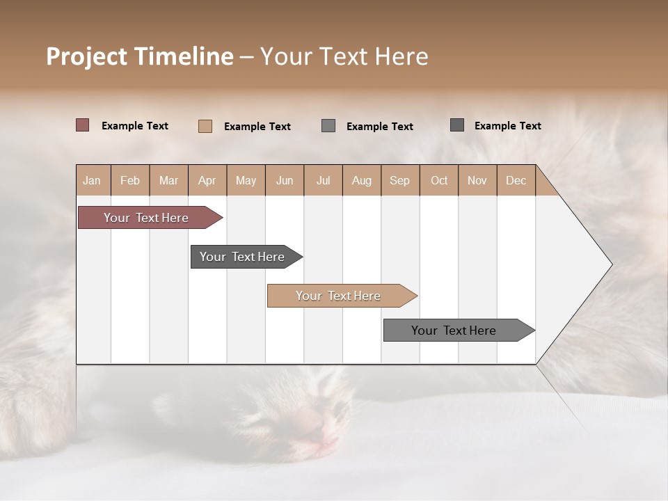 Furry White Mother PowerPoint Template
