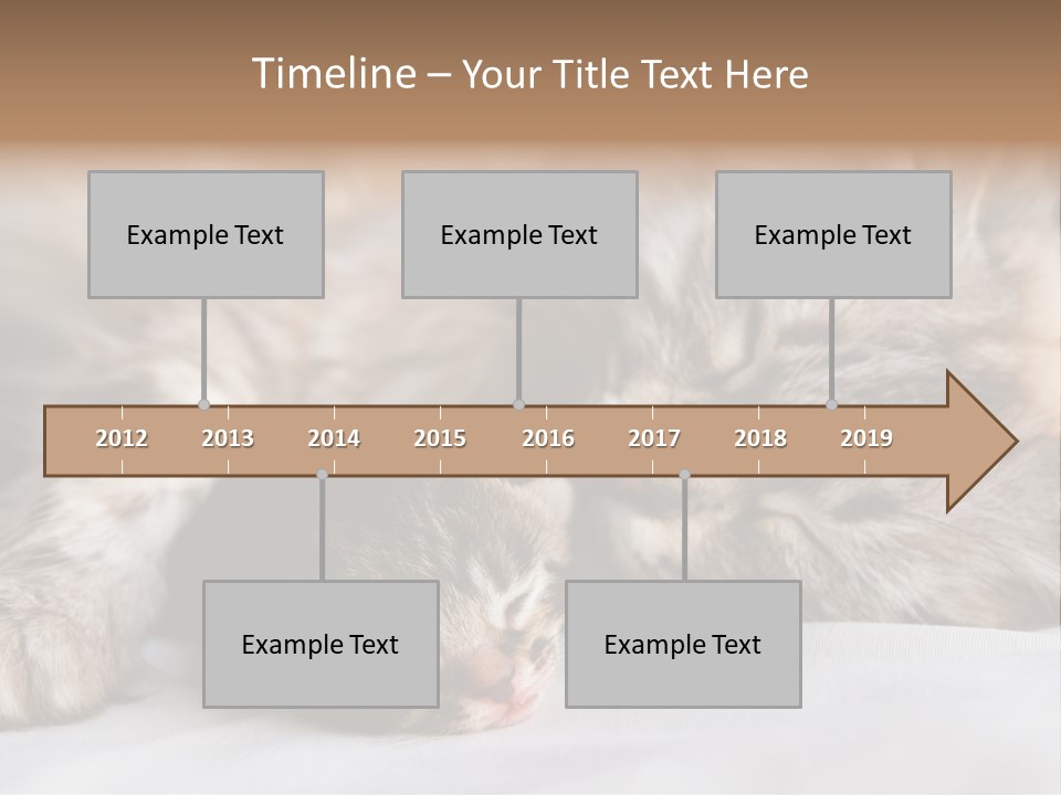 Furry White Mother PowerPoint Template
