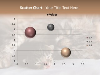 Furry White Mother PowerPoint Template