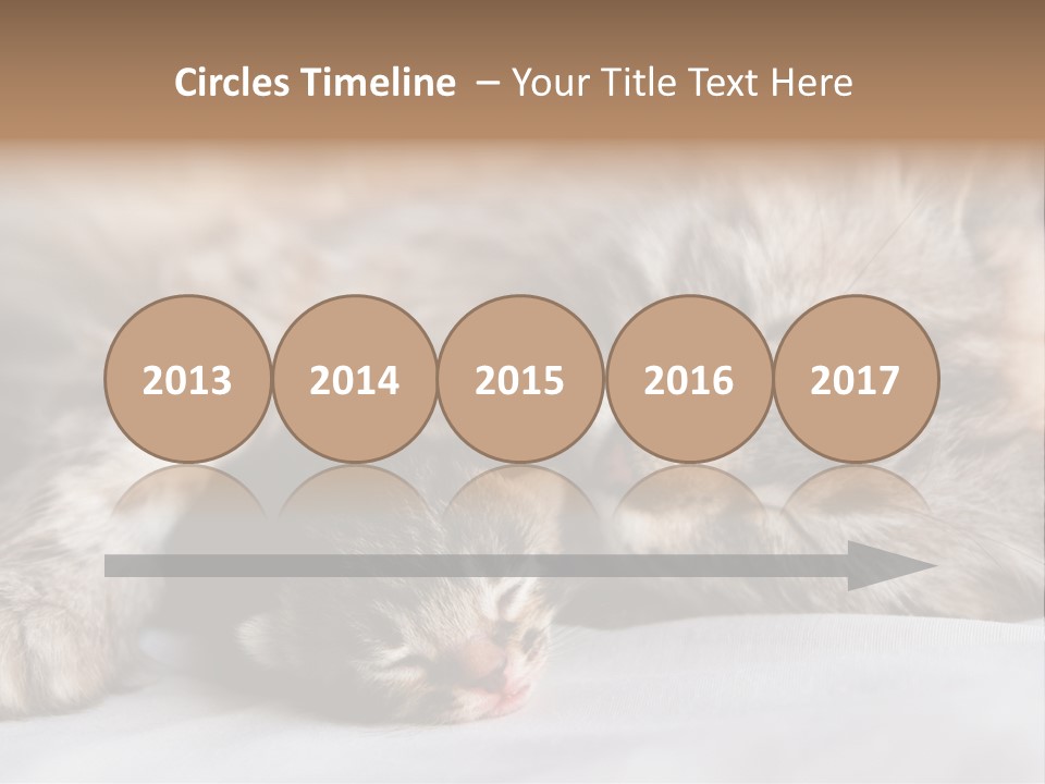 Furry White Mother PowerPoint Template