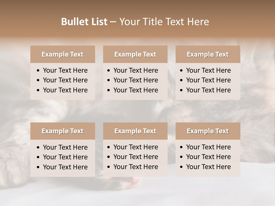 Furry White Mother PowerPoint Template