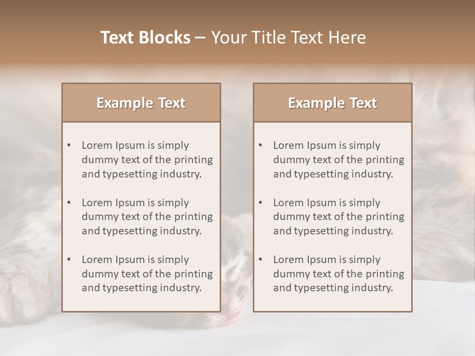 Furry White Mother PowerPoint Template
