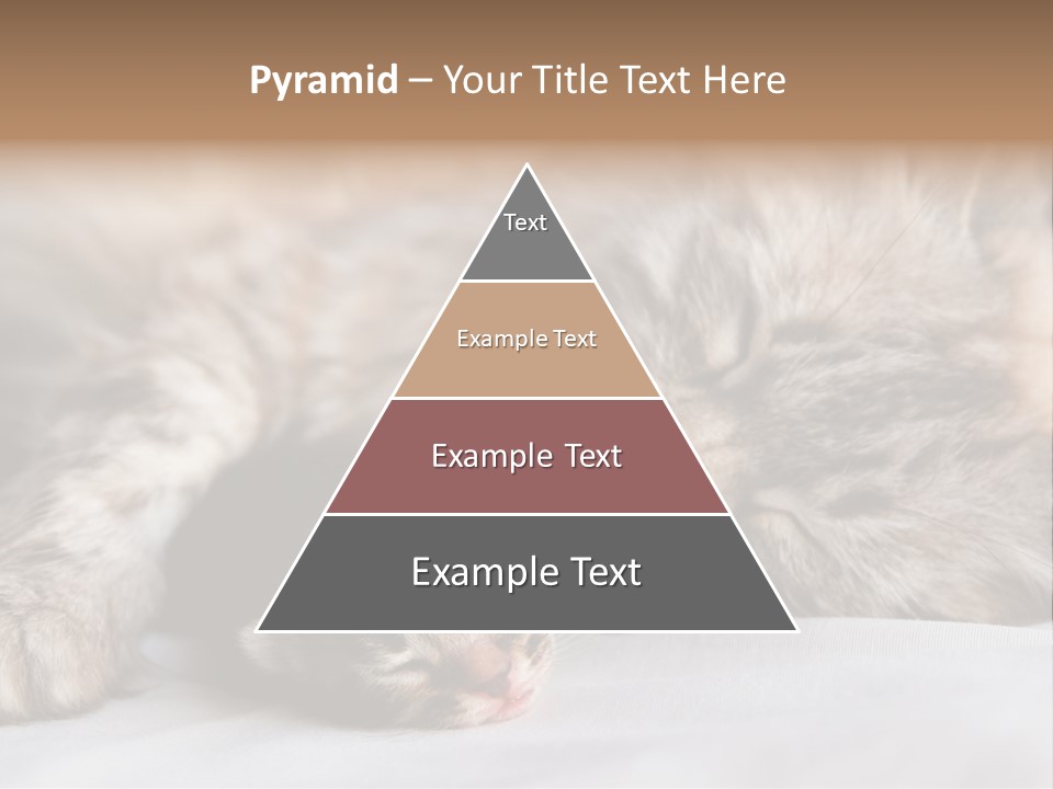 Furry White Mother PowerPoint Template