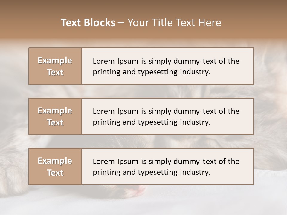 Furry White Mother PowerPoint Template