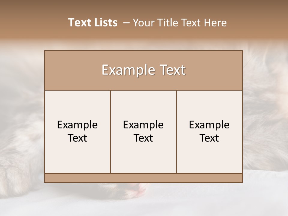 Furry White Mother PowerPoint Template